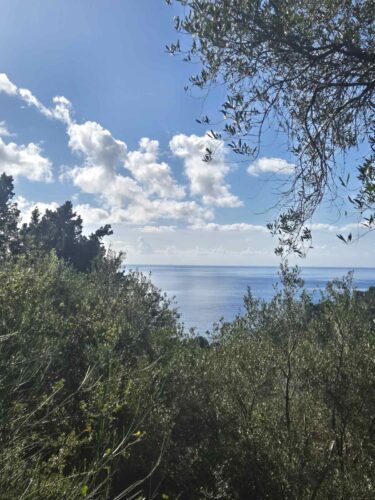 Θέα προς τη θάλασσα από το οικόπεδο στον Κοντογιαλό Κέρκυρας